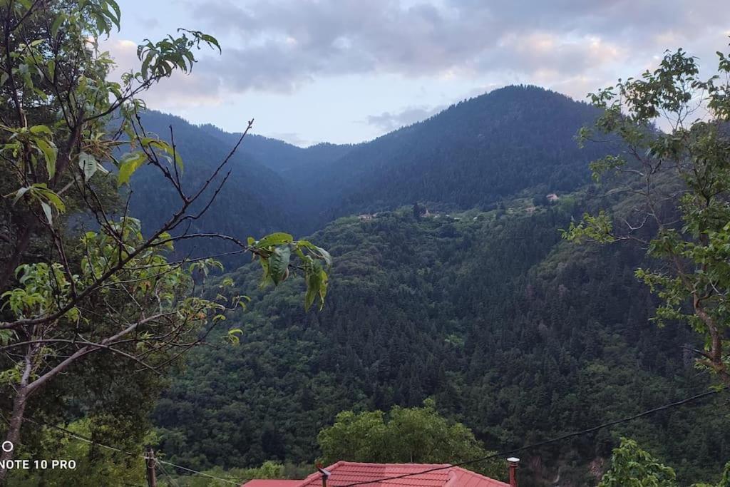 Holiday home μαριγουλαμ *